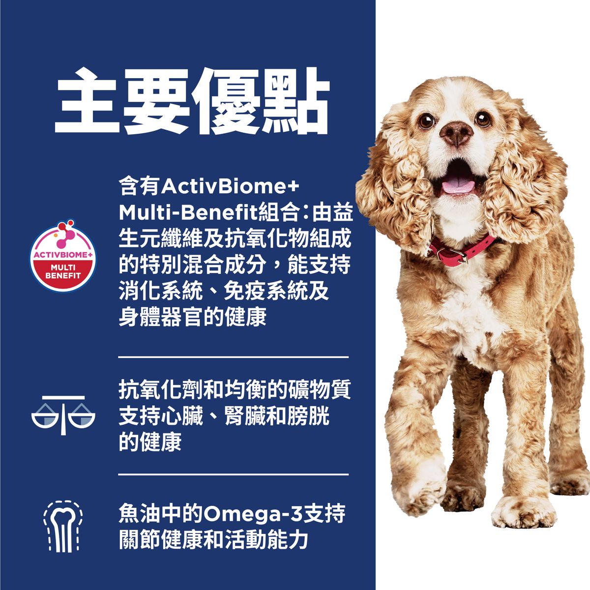 高齡犬11+ 小型犬專用配方 狗乾糧 4.5磅(包裝隨機提供) 2533