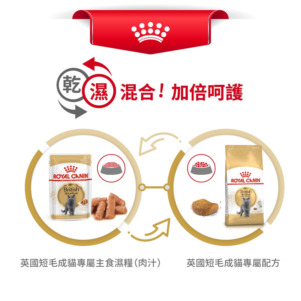 FBN 英國短毛成貓專屬主食濕糧(肉汁)85克 X 12