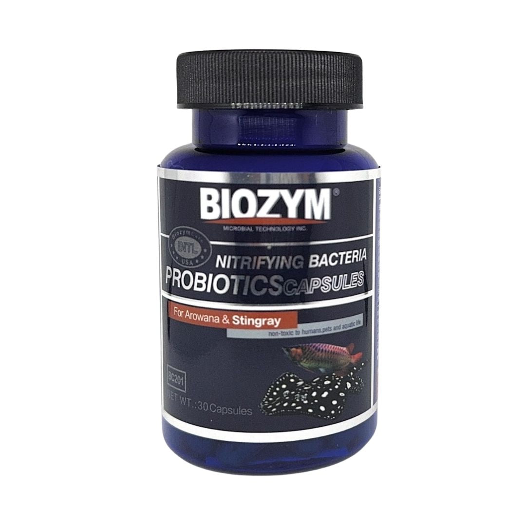 BIOZYM-功能性硝化菌株(龍魚及魟魚)BC201 30粒膠囊 | 香港行貨 龍魚 魟魚 觀賞魚 魚缸 水質護理 硝化菌 水族用品