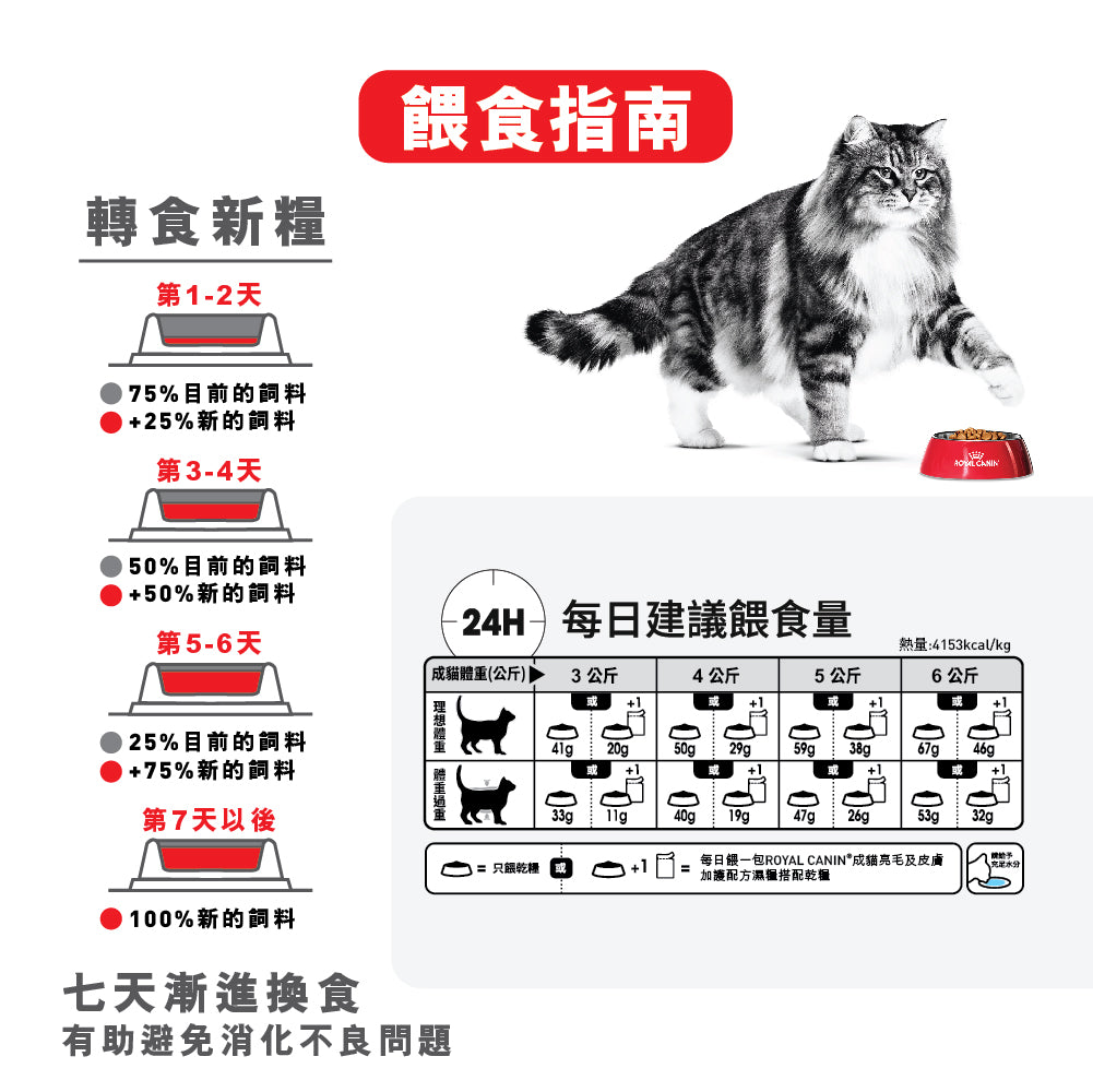 FCN 成貓亮毛及皮膚加護配方