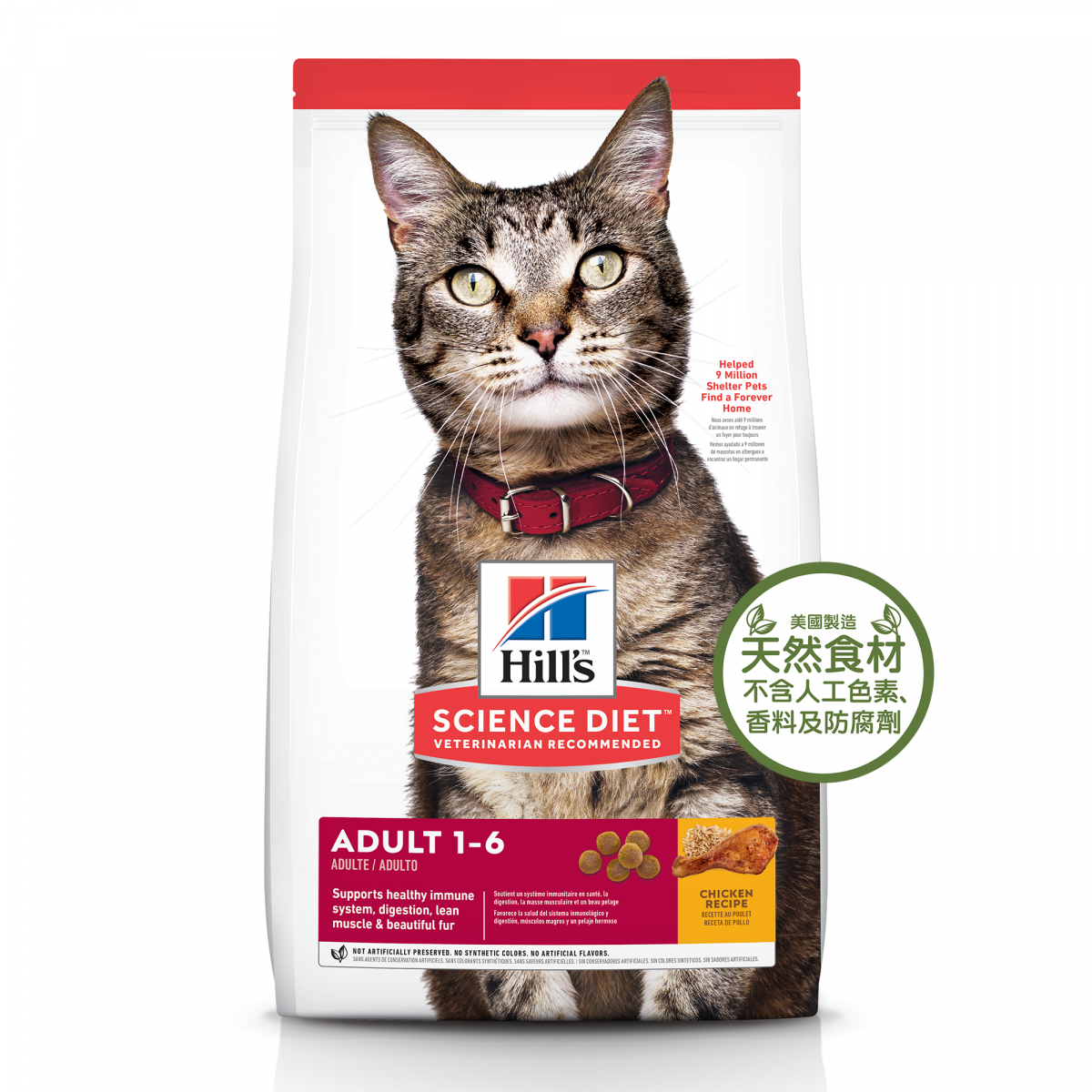 Hills Adult Cat 1-6 Everyday Series Dry Food 10kg