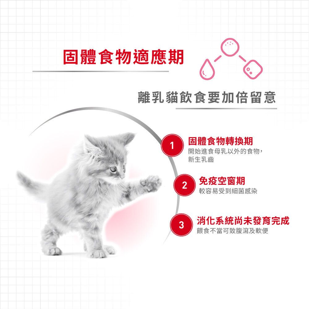 Royal Canin 離乳貓及母貓營養主食罐頭 195克