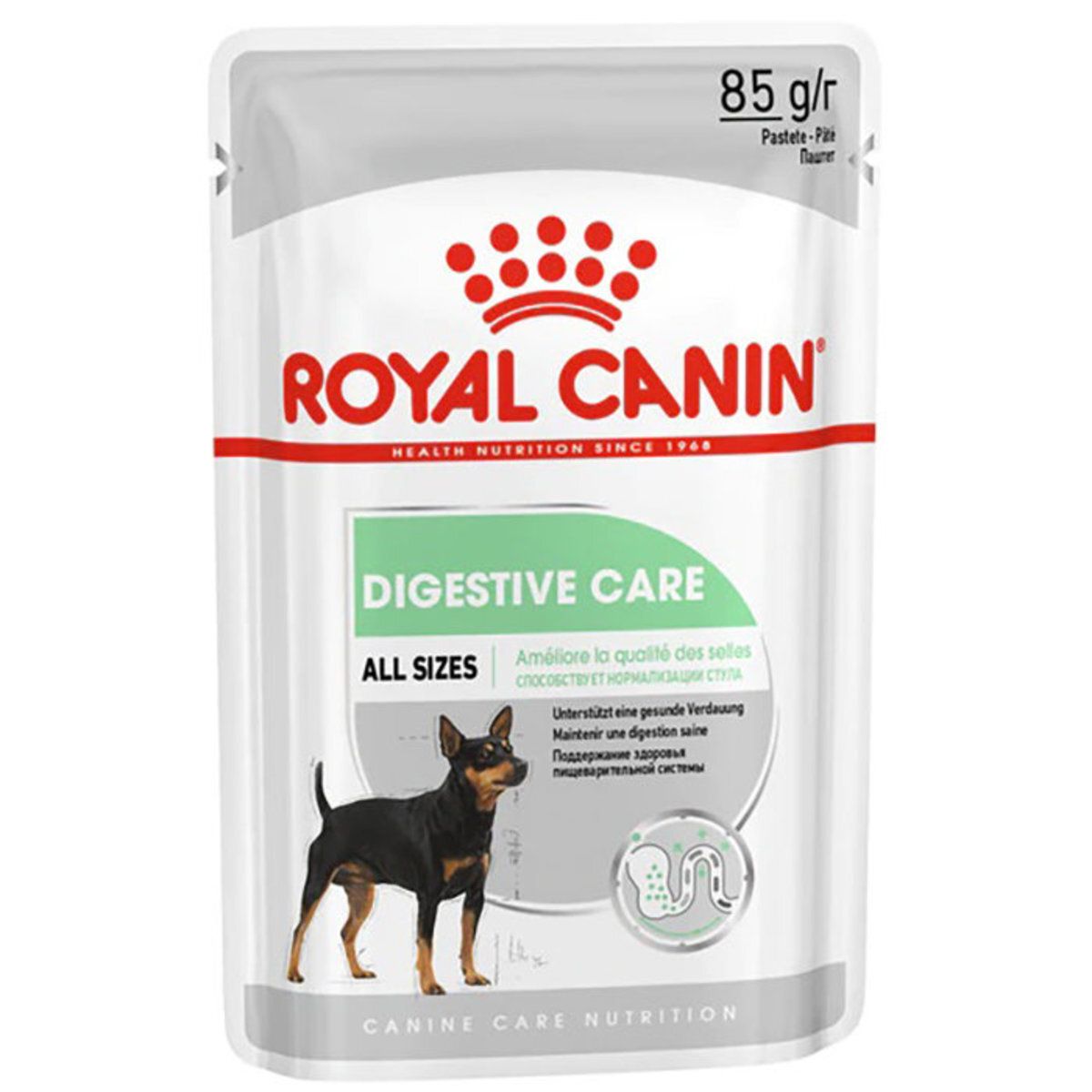 ROYAL CANIN 成犬 消化道加護主食濕糧 肉塊 85克 (08782) (包裝隨機提供)