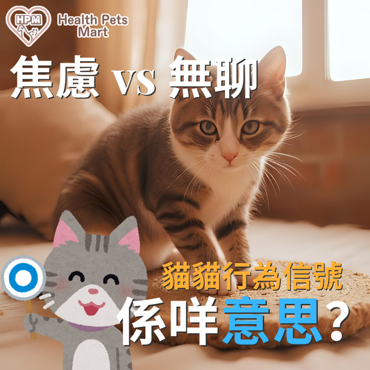 🐱《焦慮 Vs 無聊：你分得出主子情緒嗎？》