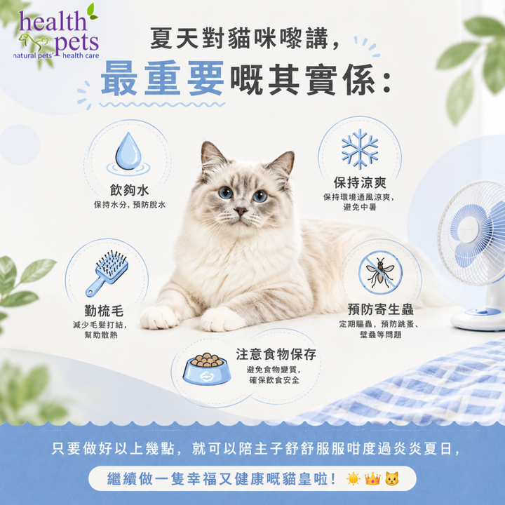 🐱☀️ 夏天到啦！貓奴必睇嘅夏季照顧小貼士！