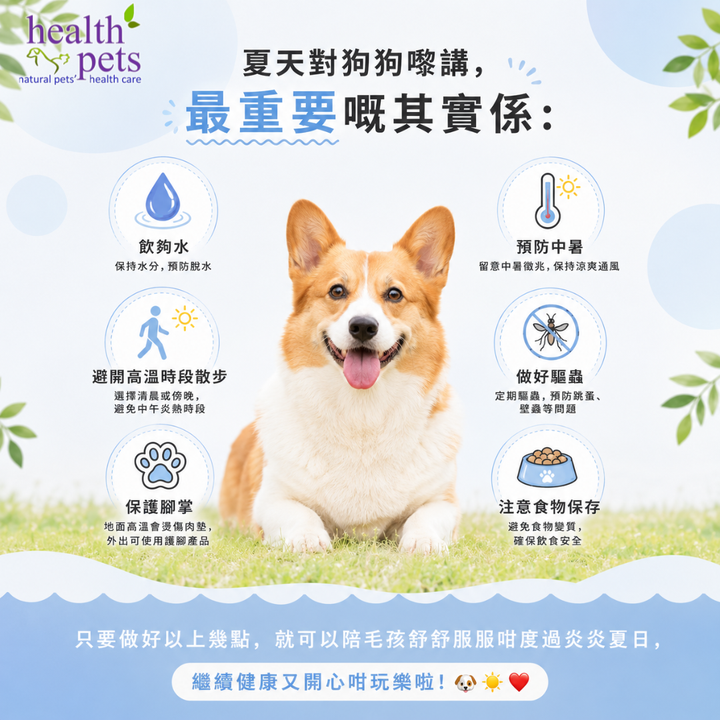 🐶☀️ 夏天到啦！狗狗夏季照顧全攻略！