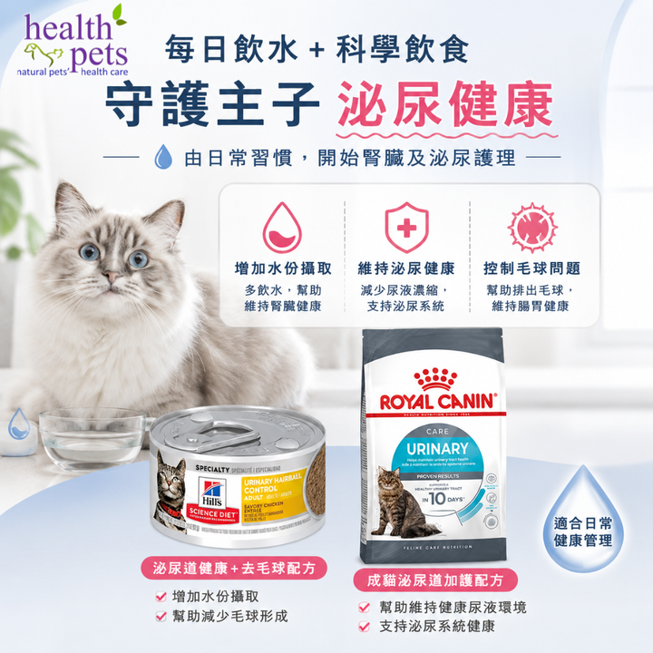 🐱💧 貓咪腎健康有幾重要？好多問題，其實由飲水不足開始！