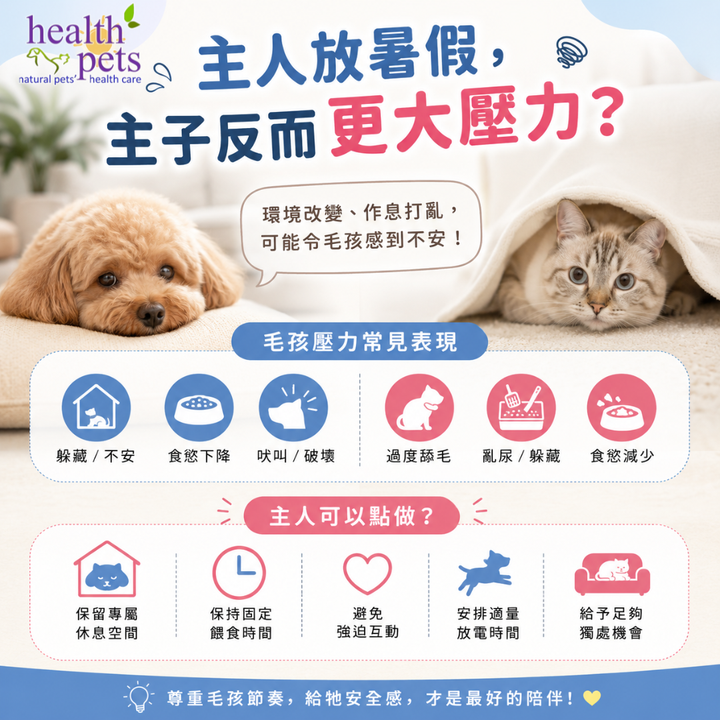 🐶🐱《主人放暑假，主子反而更大壓力？》