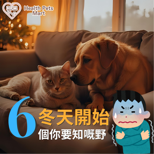 🎄聖誕快樂！冬天毛孩有咩要注意？🐶🐱