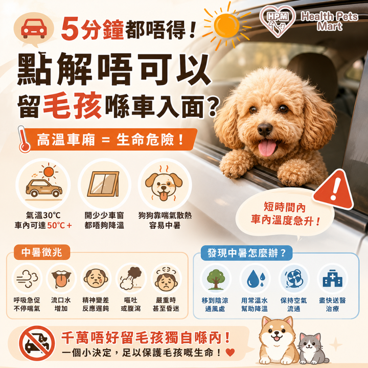 🚗🐶《5分鐘都唔得！點解唔可以留毛孩喺車入面？》