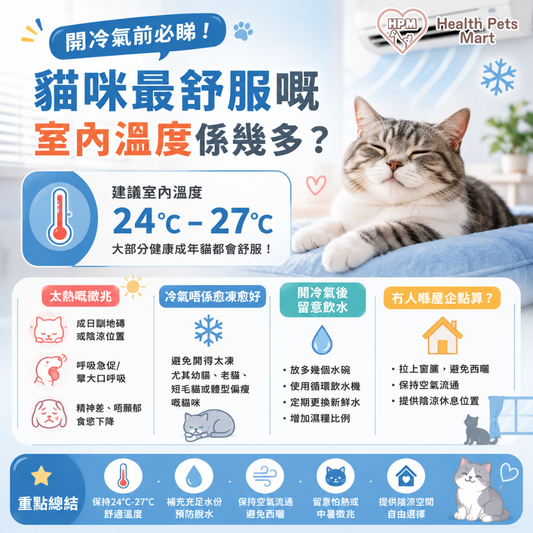 🏖️🐱《開冷氣前必睇！貓咪最舒服嘅室內溫度係幾多？》