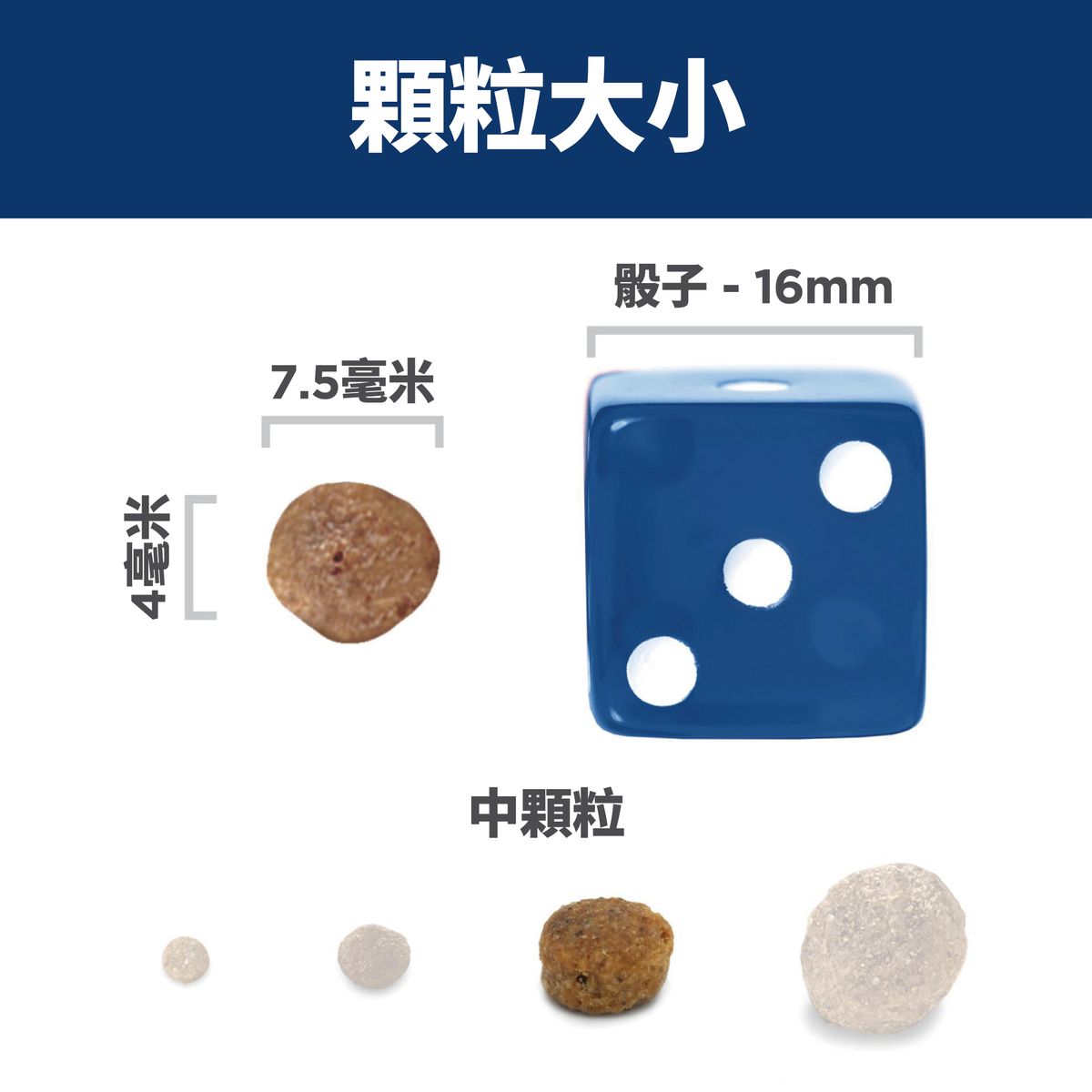 高齡犬11+ 小型犬專用配方 狗乾糧 4.5磅(包裝隨機提供) 2533