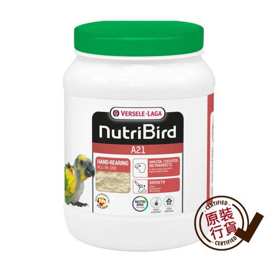 A21 葵花及大型鸚鵡幼鳥綜合營養奶粉 800g