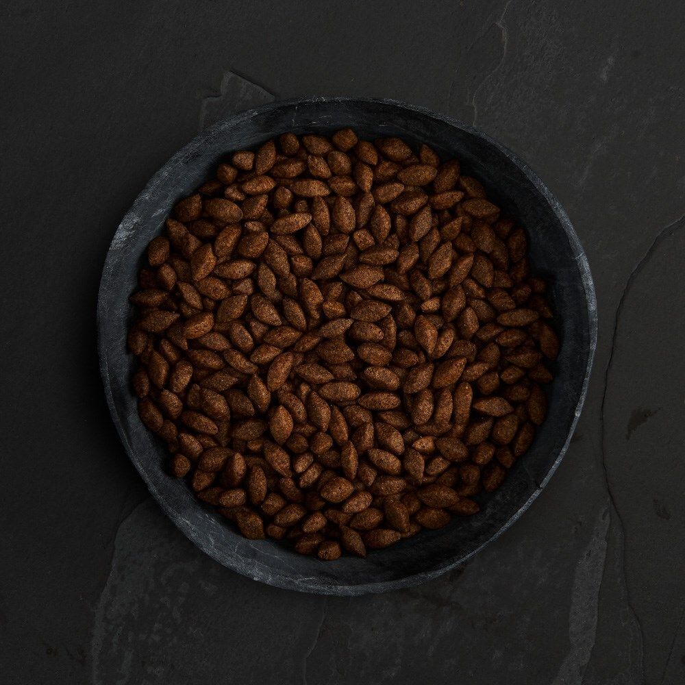 無穀物昆蟲蛋白狗乾糧 1.5KG