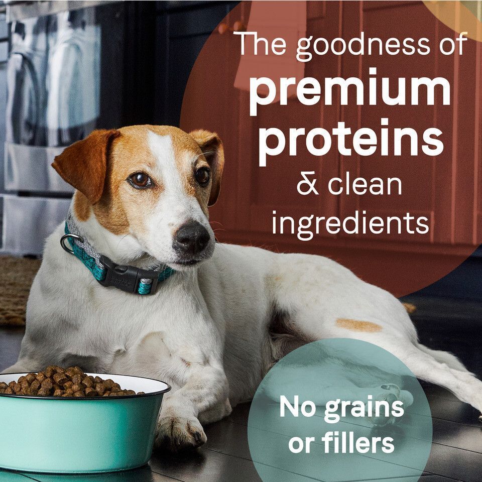 PURE 成犬乾糧 - 無穀物羊肉和甜薯 1.8KG(4磅)