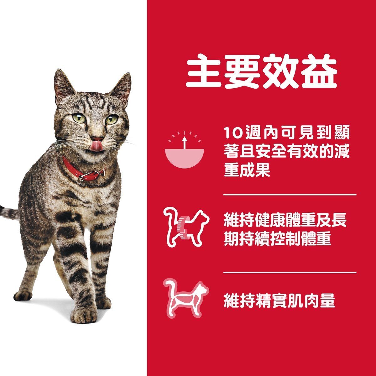 Hills 成貓 1-6 完美體態配方 貓乾糧 3磅 2968