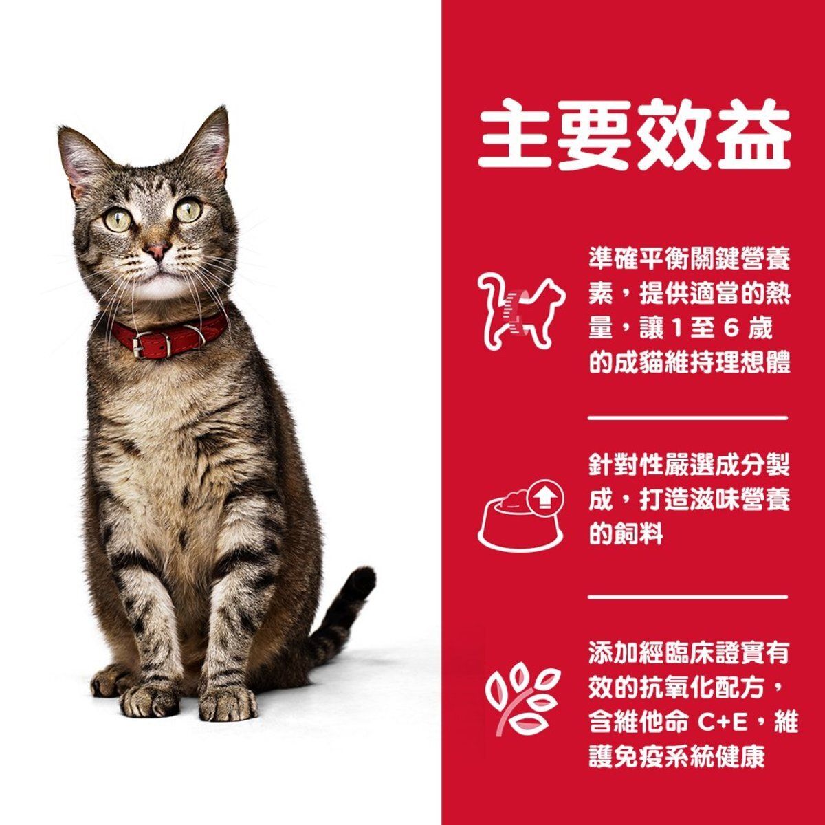 Hills 成貓 1-6 成貓營養主食罐頭 雞肉及肝味 貓罐頭 5.5安士 6610