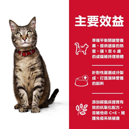 Hills 成貓 1-6 成貓營養主食罐頭 雞肉及肝味 貓罐頭 5.5安士 6610