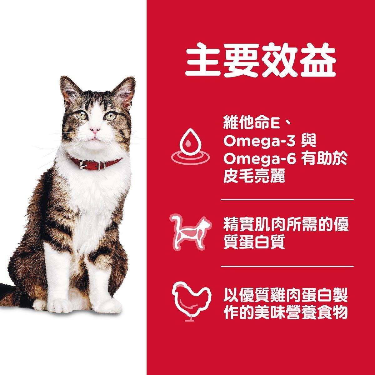 Hills 成貓 1-6 去毛球配方 貓乾糧 3.5磅 7156