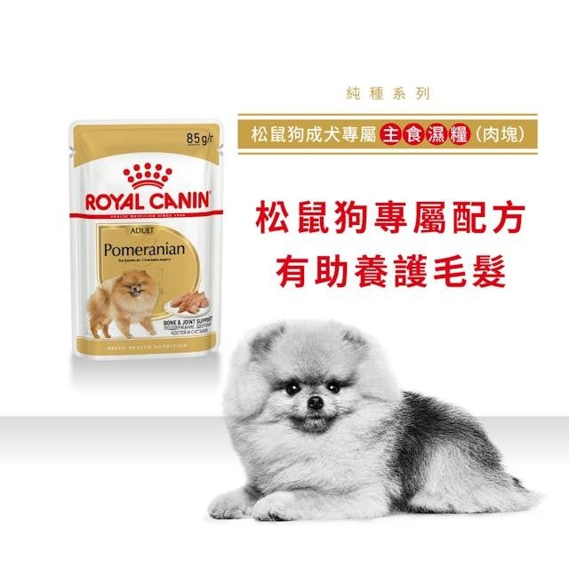 BHN 松鼠狗成犬專屬主食濕糧 (肉塊) 85克 x 12
