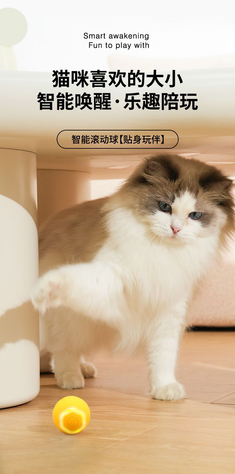 咀嚼貓球 自動滾動 互動滾動球 綠色