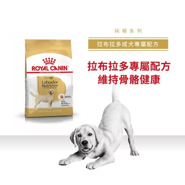 BHN 拉布拉多成犬專屬配方 12公斤 [2555400]
