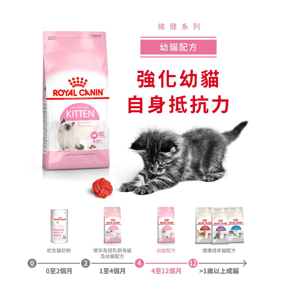 FHN 幼貓營養配方 4公斤 (兩款包裝隨機提供)
