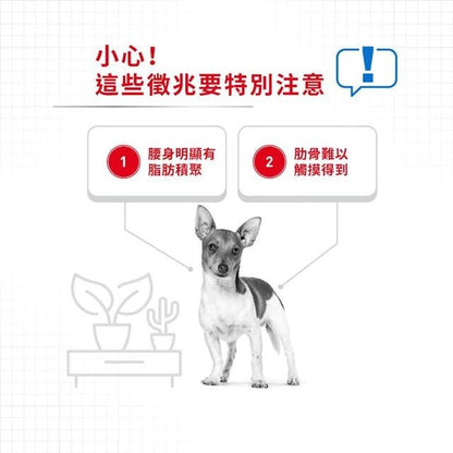 成犬體重控制加護主食濕糧（肉塊）85克 x 12