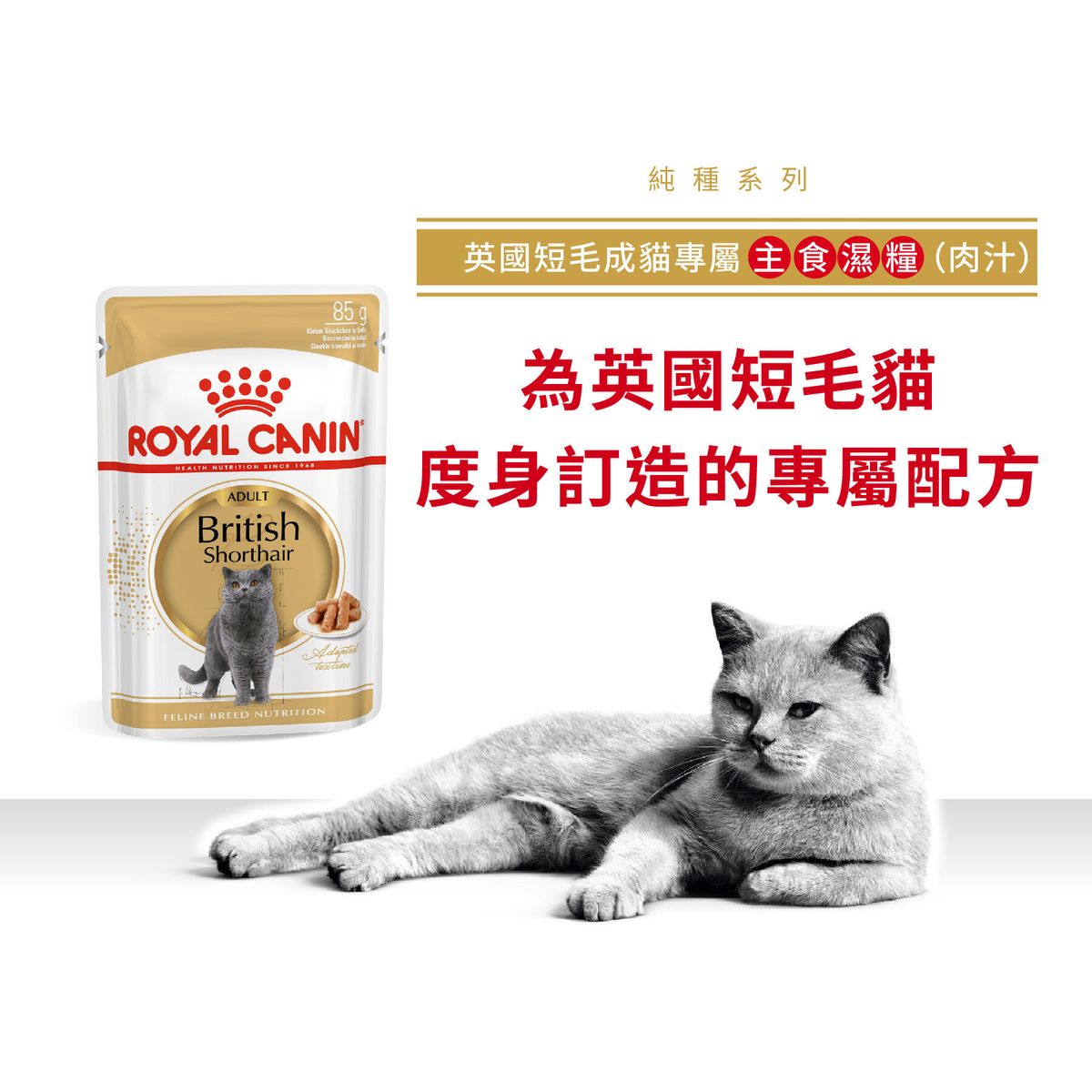 FBN 英國短毛成貓專屬主食濕糧（肉汁）85克 X 12