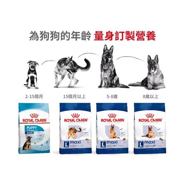 SHN 大型熟齡犬5+營養配方 15公斤 [3008150011]