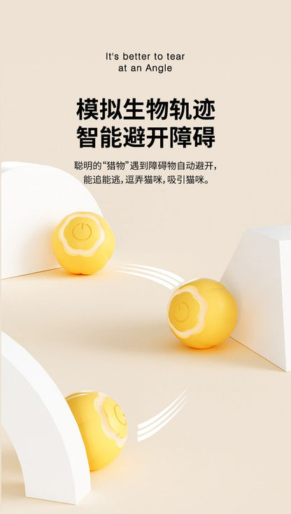咀嚼貓球 自動滾動 互動滾動球 綠色