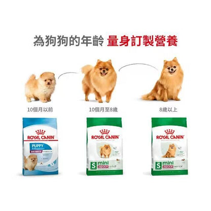 SHN 室內小型老犬營養配方 3公斤 [2435030011] [包裝隨機提供]