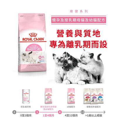 FHN 離乳貓及母貓營養配方 4公斤 (兩款包裝隨機提供)