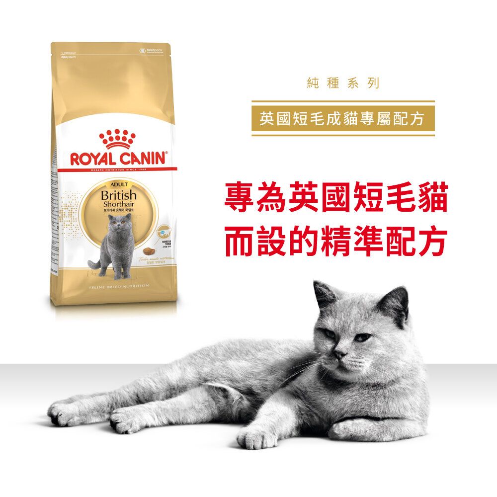 FBN 英國短毛成貓專屬配方 4公斤