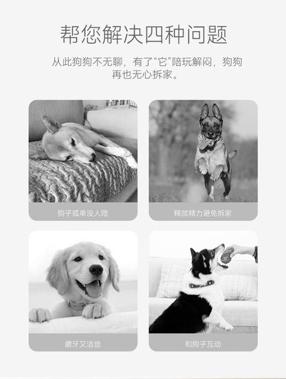 Hipidog TPR糖果小狗狗玩具 磨牙耐咬 可水洗潔牙橡膠用品 藍色帶刺骨頭