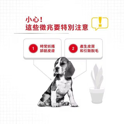 CCN 中型犬皮膚舒緩加護配方 12公斤 [3053000]