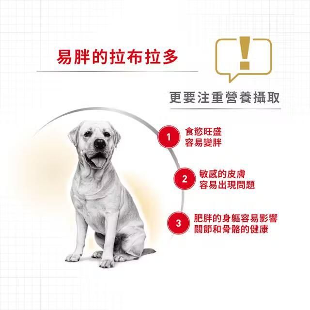 BHN 拉布拉多成犬專屬配方 12公斤 [2555400]
