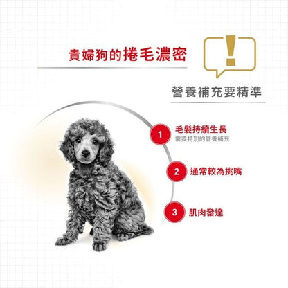 BHN 貴婦狗成犬專屬主食濕糧（肉塊）85克 x 12