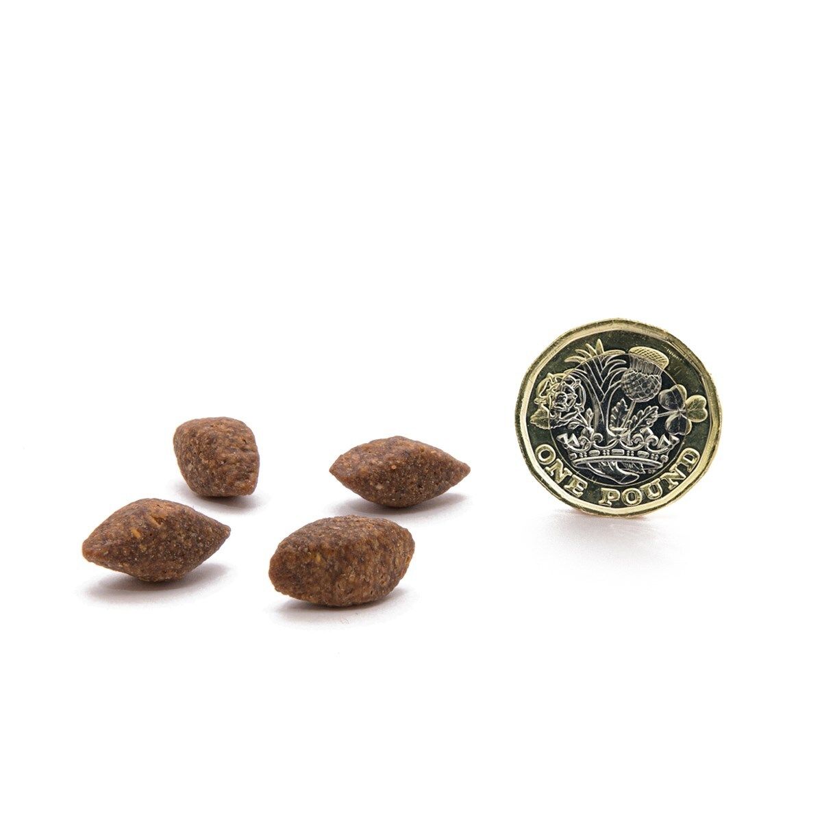 無穀物昆蟲蛋白狗乾糧 1.5KG