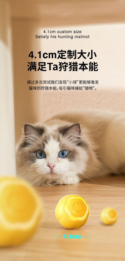 咀嚼貓球 自動滾動 互動滾動球 綠色