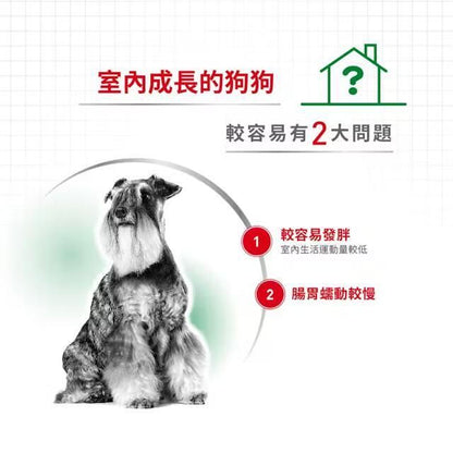 SHN 室內小型老犬營養配方 3公斤 [2435030011] [包裝隨機提供]