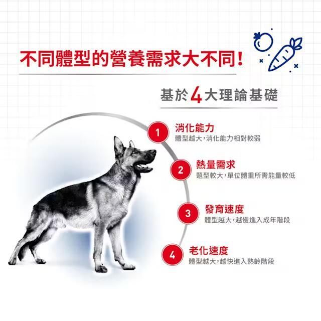 SHN 大型熟齡犬5+營養配方 15公斤 [3008150011]