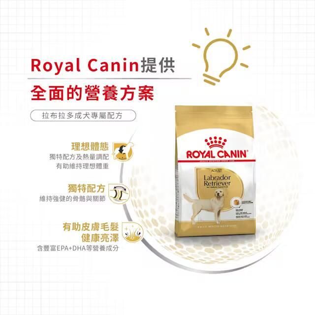 BHN 拉布拉多成犬專屬配方 12公斤 [2555400]