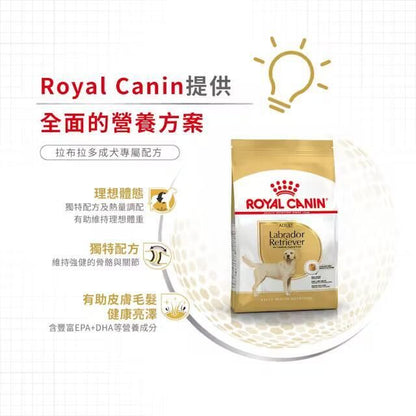 BHN 拉布拉多成犬專屬配方 12公斤 [2555400]