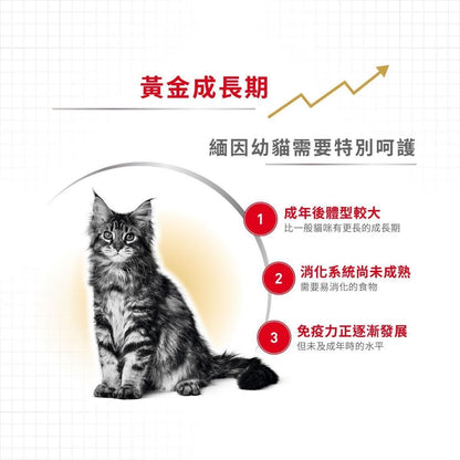 緬因幼貓專屬配方 2kg 貓乾糧 FBN 骨骼關節配方