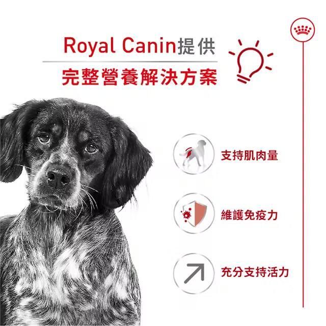 SHN 中型熟齡犬7+營養配方 15公斤 [4056100]