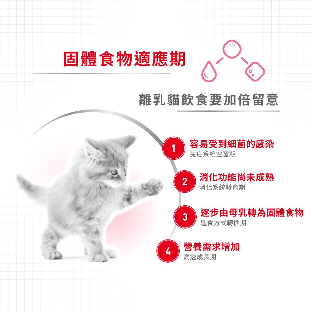 FHN 離乳貓及母貓營養配方 4公斤 (兩款包裝隨機提供)