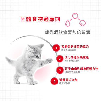 FHN 離乳貓及母貓營養配方 4公斤 (兩款包裝隨機提供)