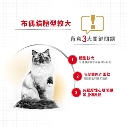 FBN 布偶成貓專屬配方10 公斤