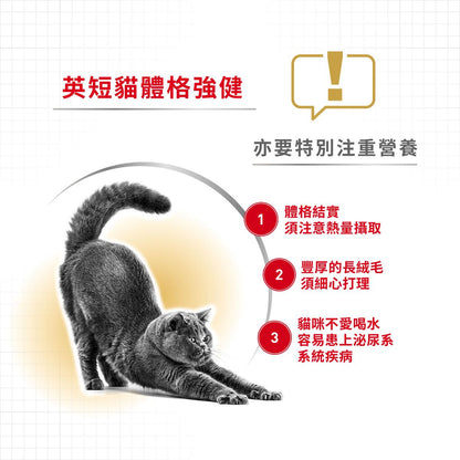 FBN 英國短毛成貓專屬主食濕糧（肉汁）85克 X 12
